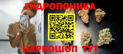круглые Камень-на-Оби