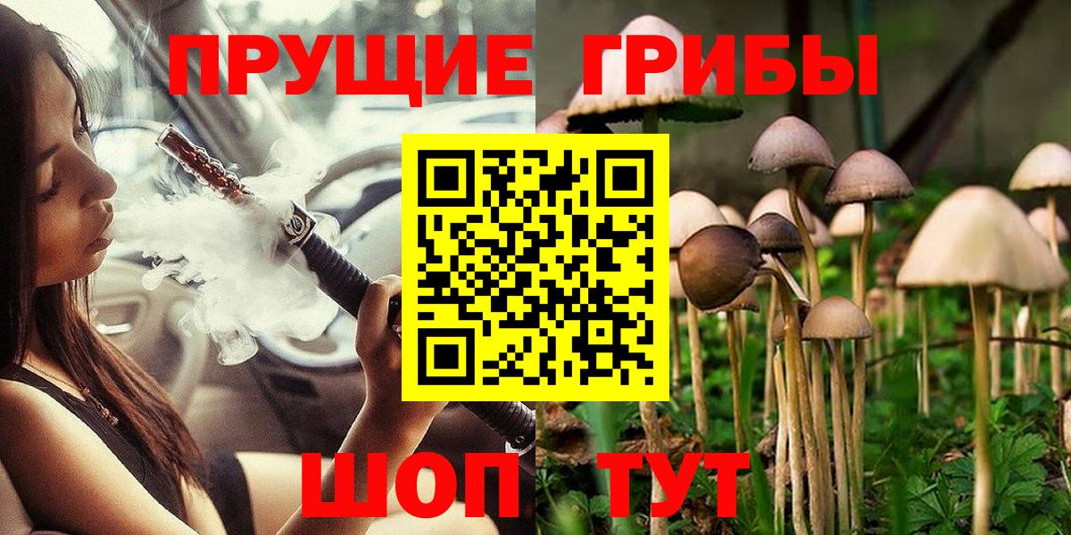Псилоцибиновые грибы MAGIC MUSHROOMS Богданович